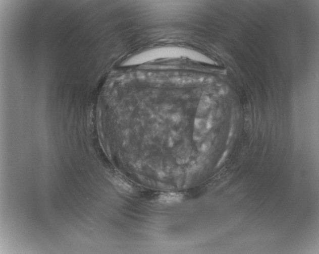 X0000063510369200602101932