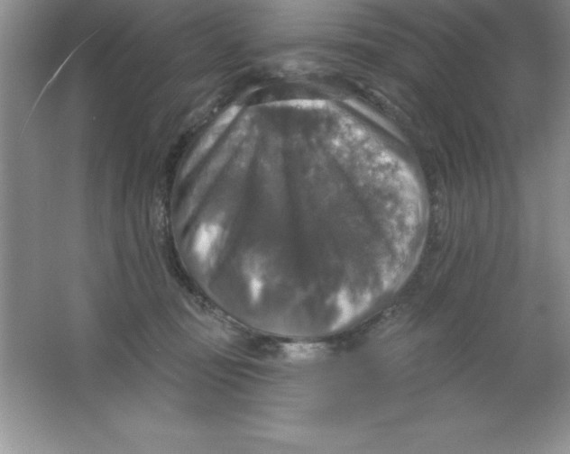 X0000063510371200602101932