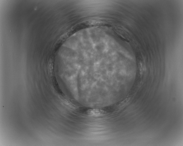 X0000063510372200602101932