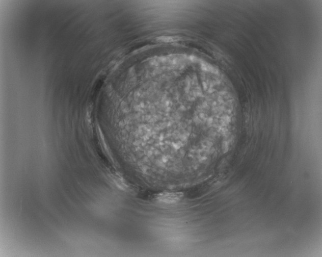 X0000063510373200602101932