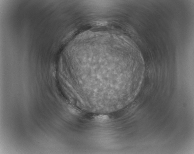 X0000063510374200602101932