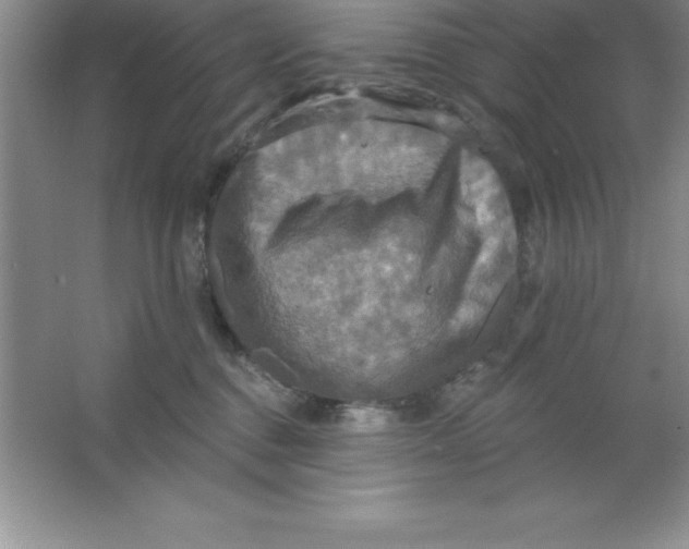 X0000063510376200602101932