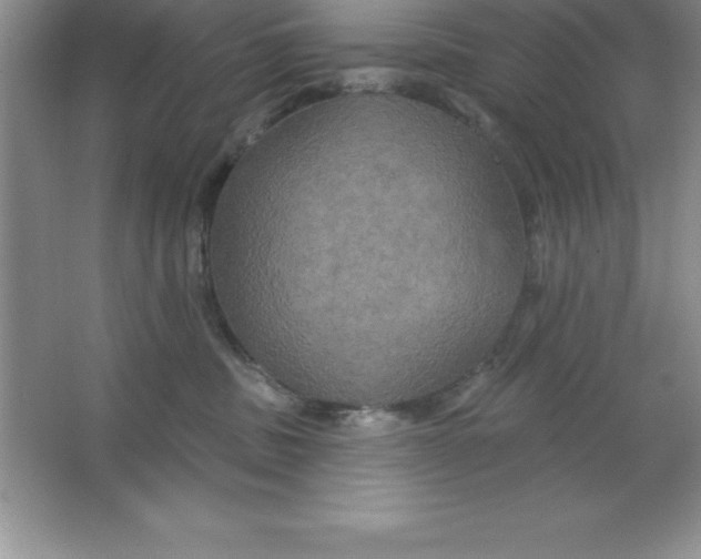 X0000063510379200602101932