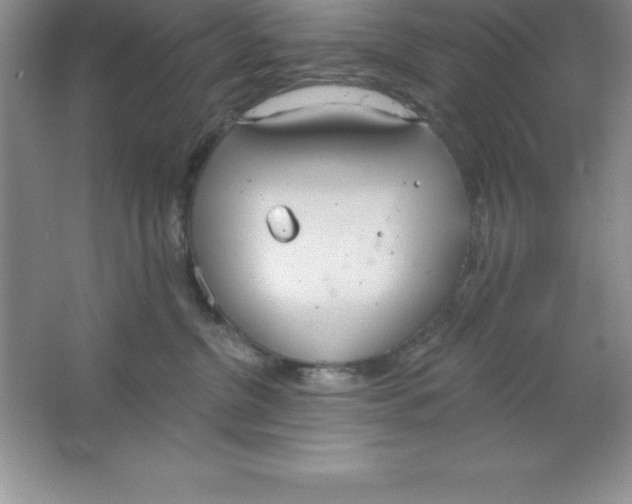 X0000063510380200602101932