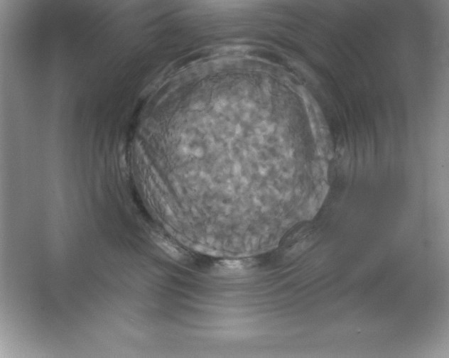 X0000063510381200602101932