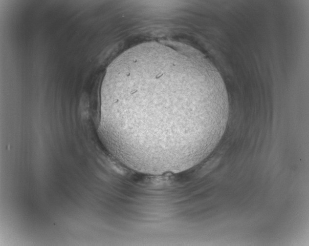 X0000063510384200602101932