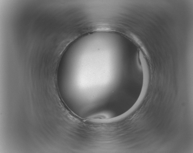 X0000063510385200602101931