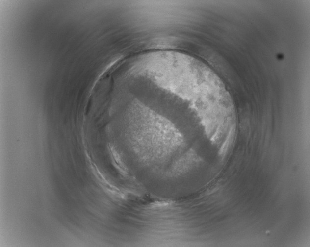 X0000063510386200602101931