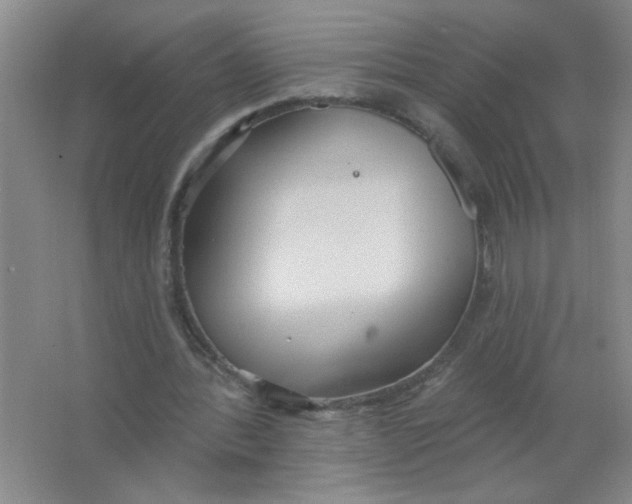 X0000063510388200602101931