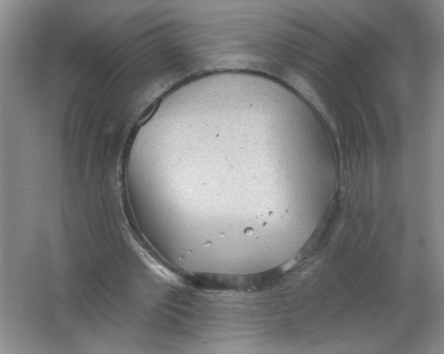 X0000063510389200602101931