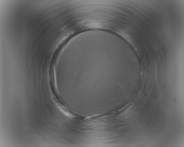 X0000063510390200602101931