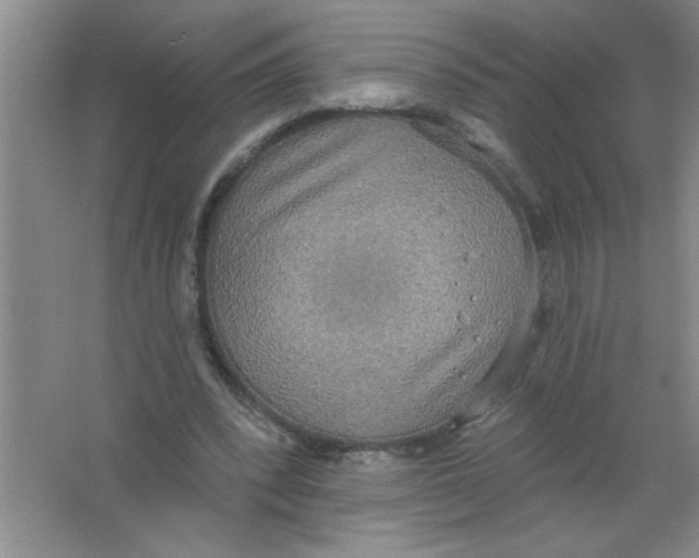 X0000063510392200602101931