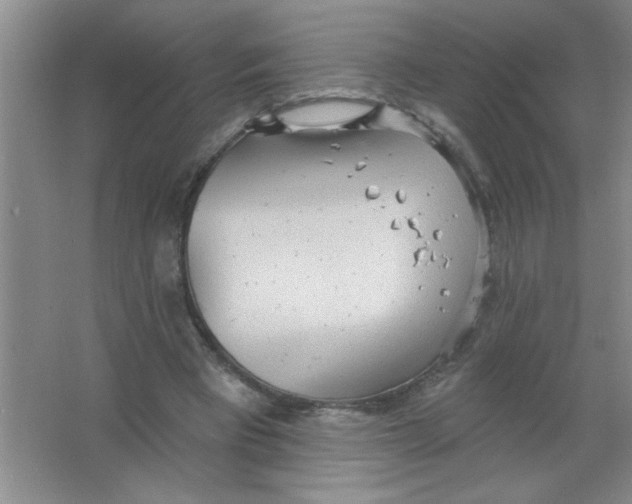 X0000063510393200602101931