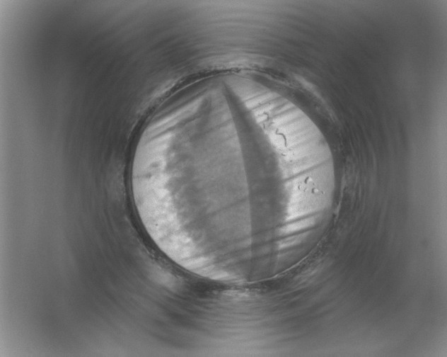 X0000063510394200602101931