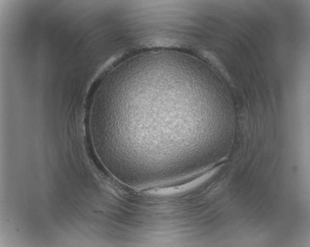 X0000063510395200602101931