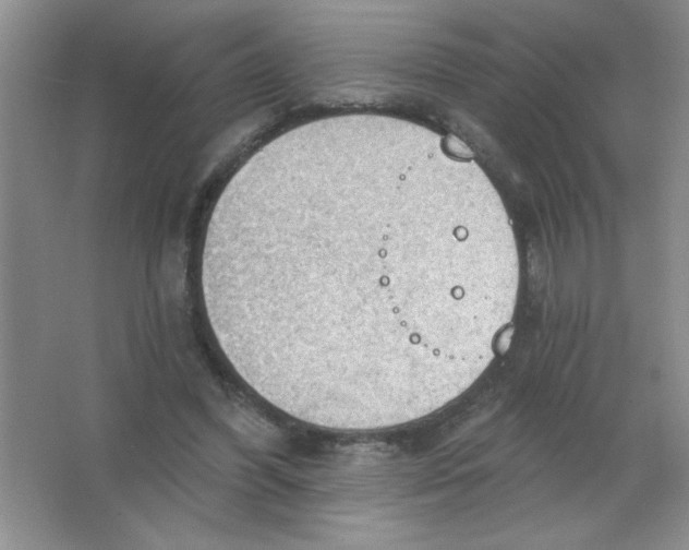 X0000063510396200602101931