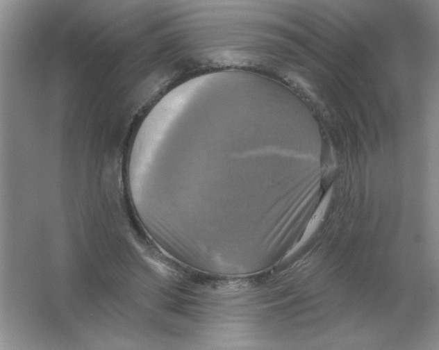 X0000063510398200602101931