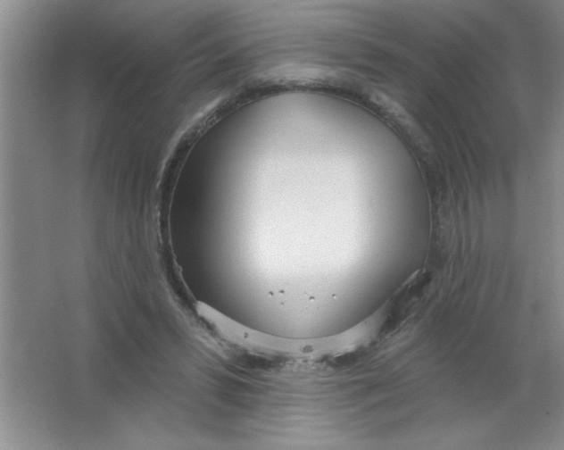 X0000063510399200602101931