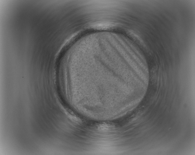 X0000063510400200602101931