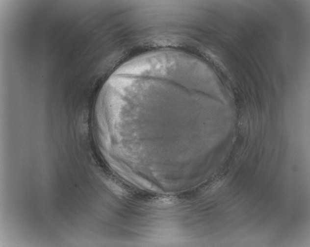 X0000063510402200602101931