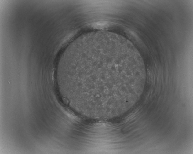 X0000063510404200602101931