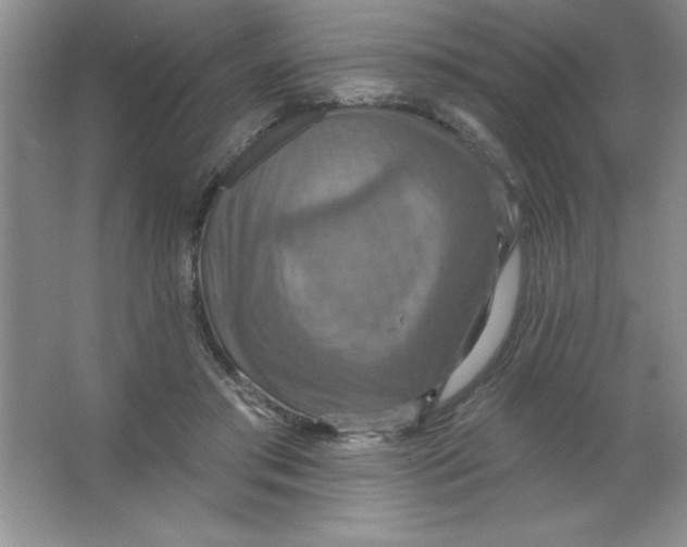 X0000063510405200602101931