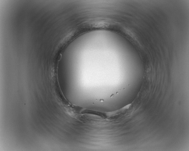 X0000063510407200602101931