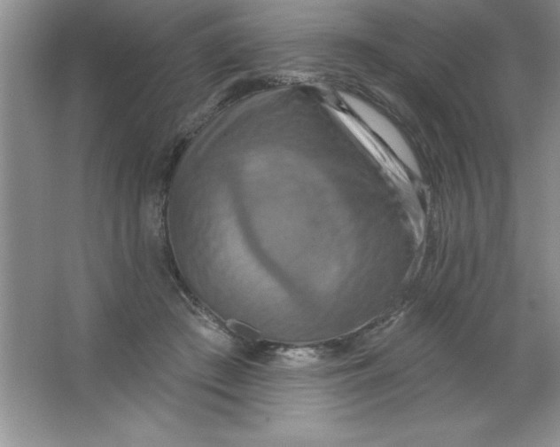 X0000063510409200602101931