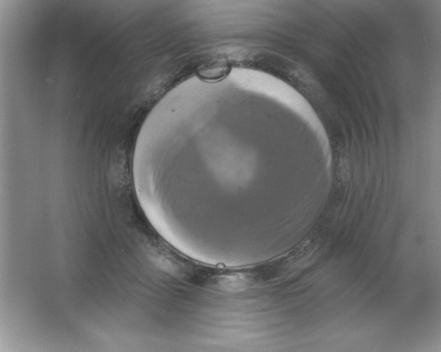 X0000063510411200602101931