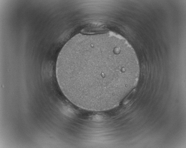 X0000063510412200602101930