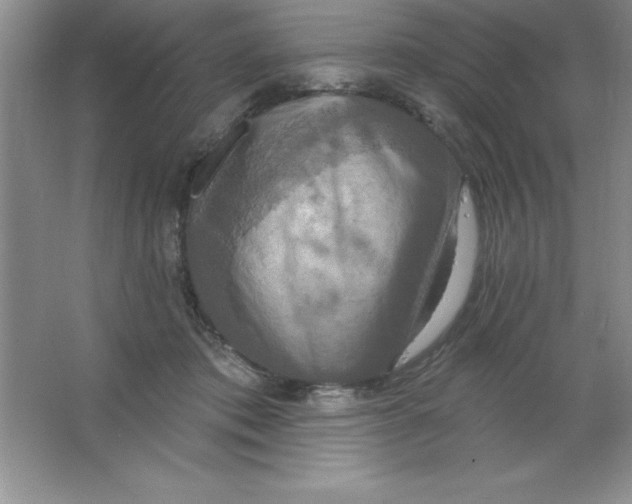 X0000063510413200602101930