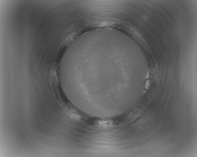 X0000063510415200602101930