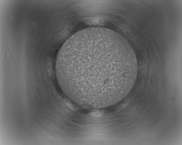 X0000063510416200602101930