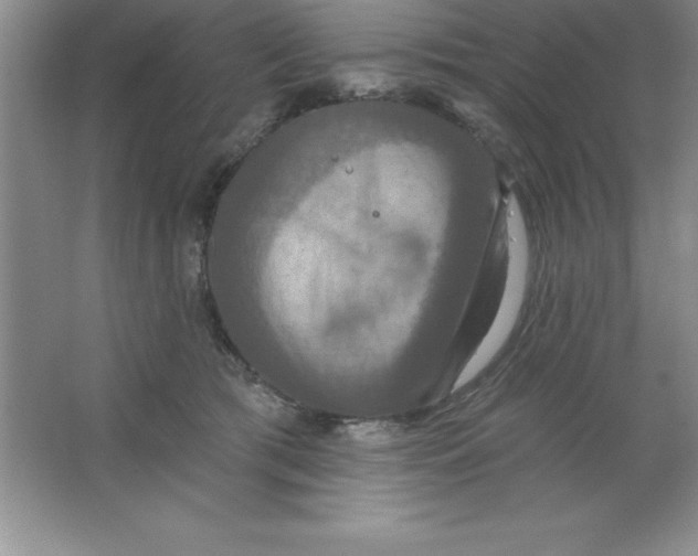 X0000063510417200602101930