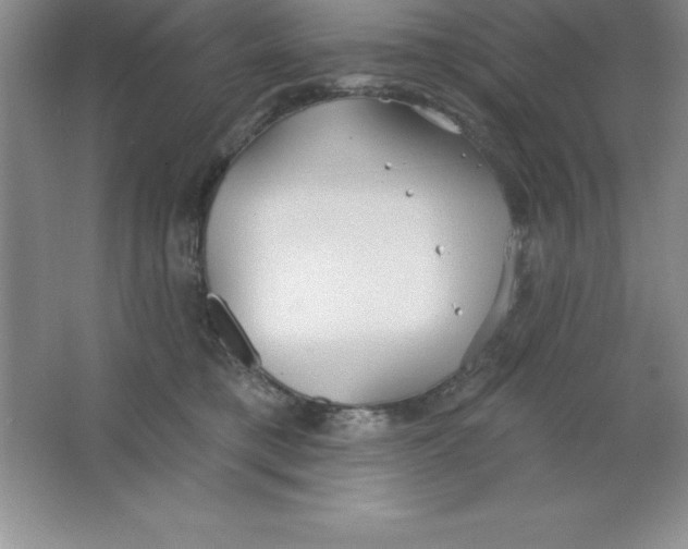 X0000063510421200602101930