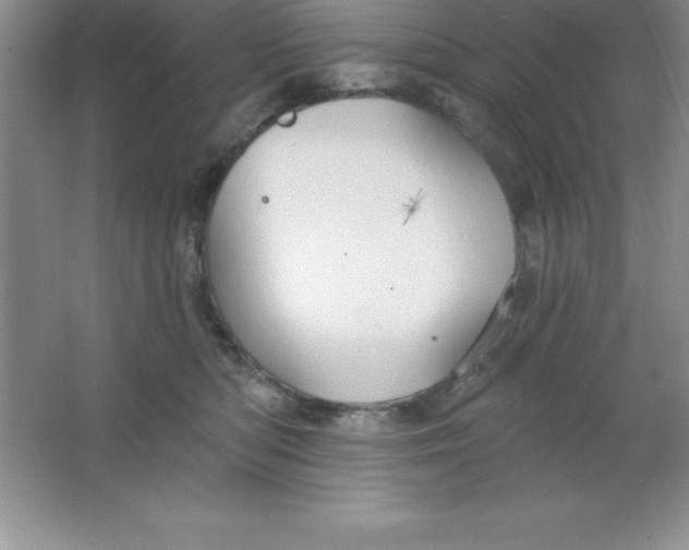 X0000063510422200602101930