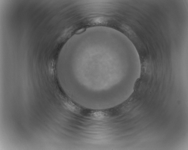 X0000063510423200602101930