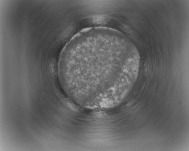 X0000063510424200602101930