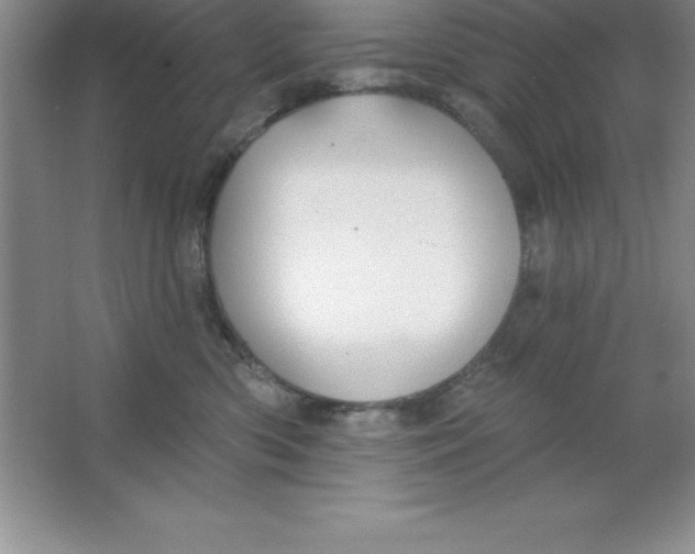 X0000063510426200602101930