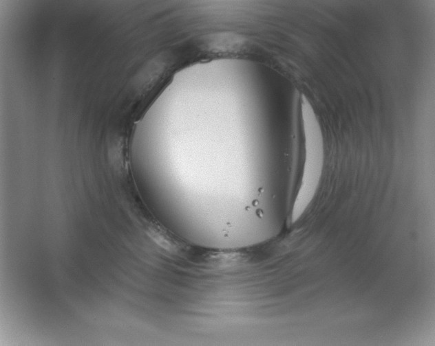 X0000063510428200602101930