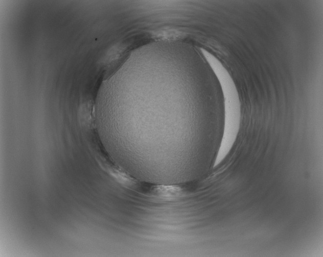 X0000063510429200602101930