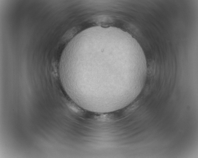 X0000063510430200602101930