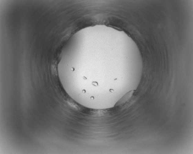 X0000063510432200602101930