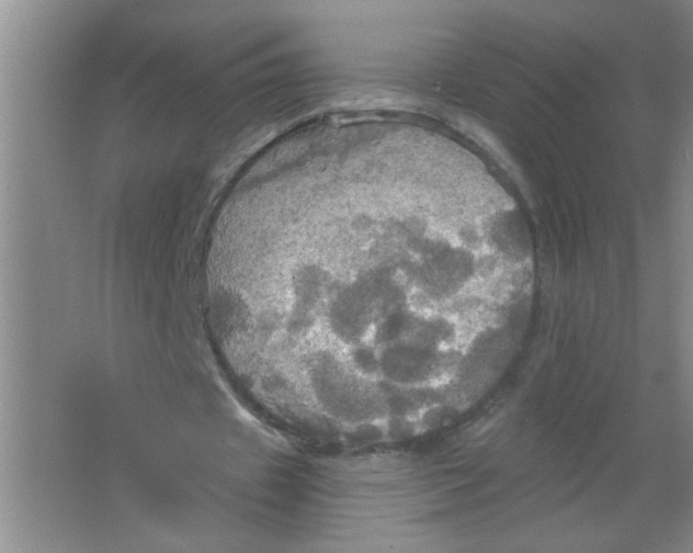 X0000063510433200602101929