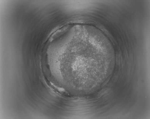 X0000063510434200602101929