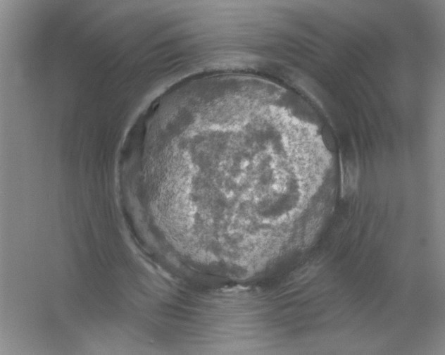 X0000063510435200602101929