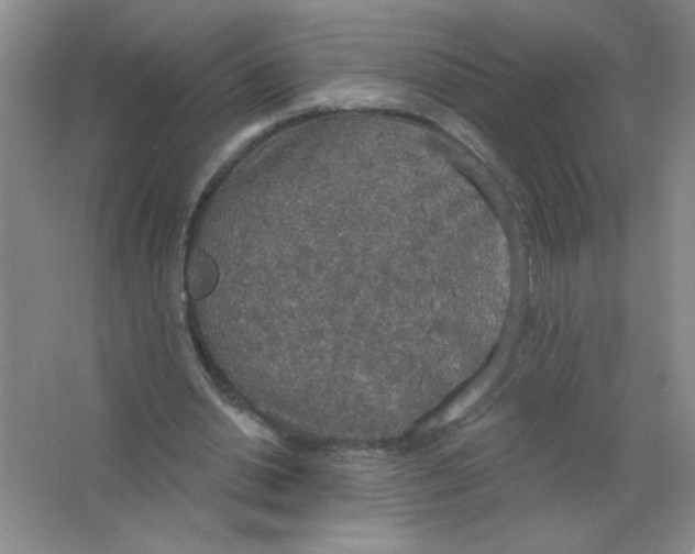 X0000063510438200602101929