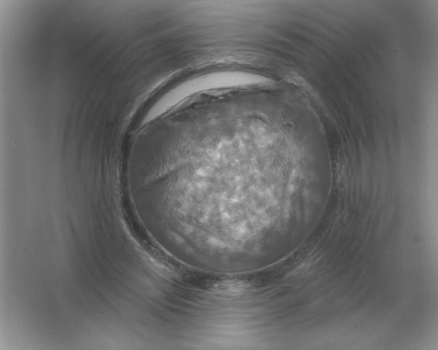 X0000063510444200602101930