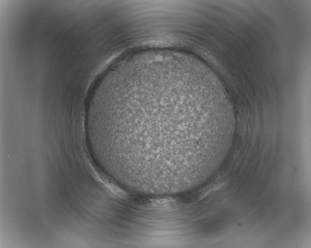 X0000063510446200602101930