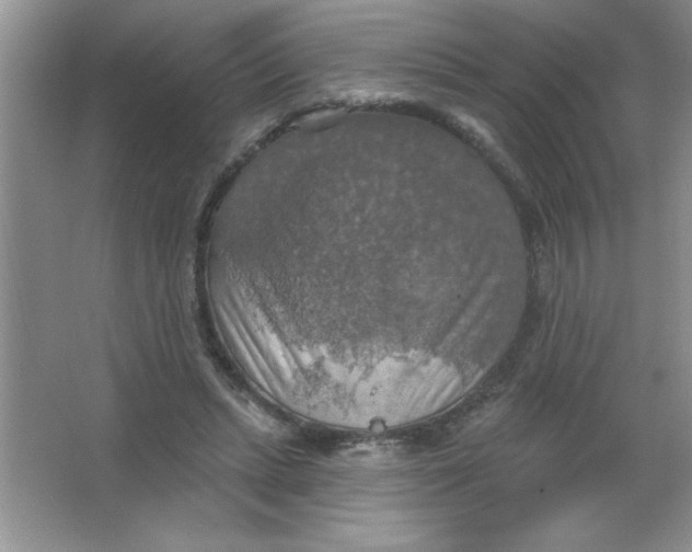 X0000063510447200602101930